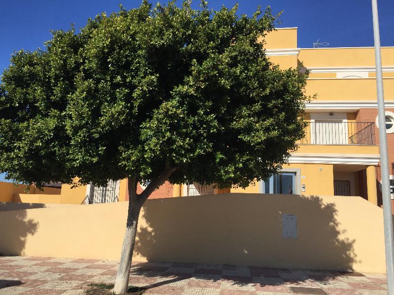Apartamentos Playamar 滨海罗克塔斯 外观 照片